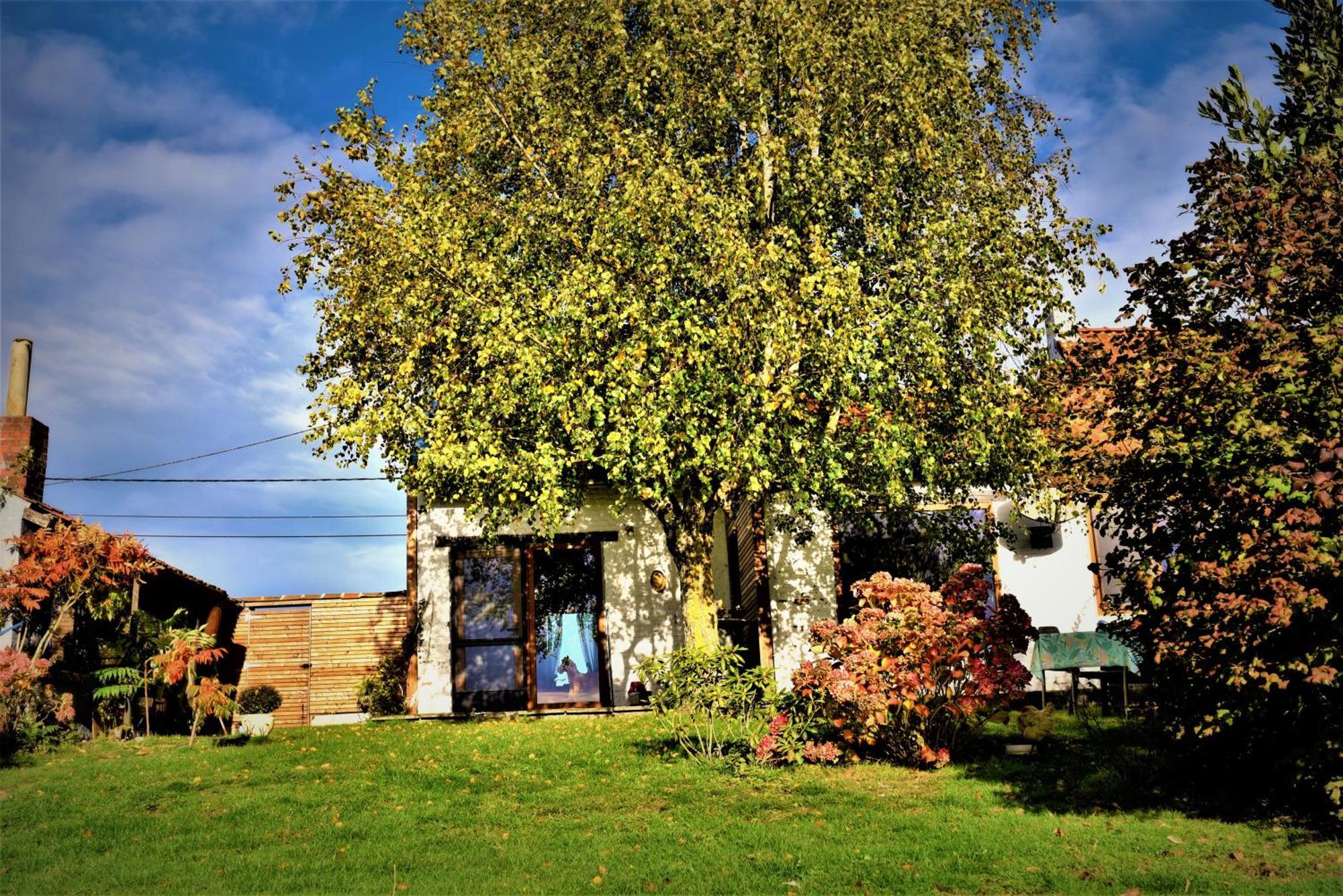 Maison Jeanny, Full House With Big Garden Frasnes-lez-Anvaing Eksteriør billede